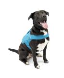 Kurgo RSG Townie Dog Harness - Easy On/Off Adjustable Straps Size S Blue | Best Dog Harness for Comfort & Safety - Buy Online on GoSupps.com