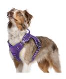 Rabbitgoo Adjustable Dog Harness for Medium Dogs - Durable Tactical Wear-Resistant with Metal Buckles & Handles - Perfect for Hiking (Purple M) - Buy Online on GoSupps.com