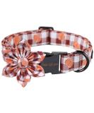 Unique Paws Halloween Dog Collar | Flower Pumpkin Design for Small to Medium Dogs | Adjustable Neck 13.5-22in | Durable Metal Buckle - Buy Online on GoSupps.com