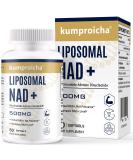 Liposomal NAD+ 500mg with TMG 250mg soft capsules current NAD+ supplement for cell repair & energy metabolism (1 pack) 60 pieces (1 Pack) - Buy Online on GoSupps.com