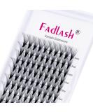 20D Volume Eyelash Extensions - 0.07mm D Curl Mixed Lengths 8-14mm | Artificial Lashes (1 Pack) - Buy Online on GoSupps.com