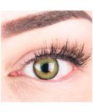 Glamlens colored green contact lenses Mirel green strongly covering natural silicone comfort lenses -1 pair (2 pieces) with strength -0.75 diopttries -0.75 diopters 8.6 millimeters 14.00 millimeters 2.0 - Buy Online on GoSupps.com