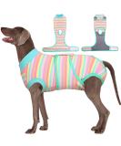 Buy Kuoser Dogebody - Breathable Post-Surgery Dog & Cat Body Suit Leakage Protection Protective Collar Alternative XXL Purple Stripes - International Shipping Available - Buy Online on GoSupps.com