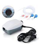 HITOP Dual Outlet Aquarium Air Pump Whisper Adjustable Fish Tank Aerator Quiet Oxygen Pump with Accessories for 20 to 100 Gallon (2 outlets) - Buy Online on GoSupps.com