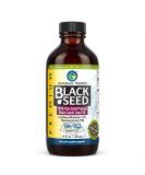Amazing Herbs Premium Black Seed Oil 4 Fl Oz - Cold Pressed Nigella Sativa for Digestive Health, Immune Support, Brain Function, Joint Mobility - Gluten Free, Non GMO - Buy Online on GoSupps.com