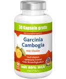 Premium Garcinia Cambogia 1890mg | 80% HCA | 120 Vegan Capsules | High Bioavailability & Natural Weight Support - Buy Online on GoSupps.com
