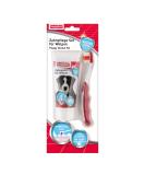 BEAPHAR Dental Care Set for Puppies - Liver Flavor Toothbrush & Toothpaste - Ideal Puppy Oral Hygiene (1 Piece + 50g) - Buy Online on GoSupps.com