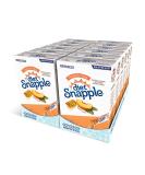 Diet Snapple Sugar Free Peach Drink Mix - Natural Flavors, 72 Sticks, 6 Count (Pack of 12) - Buy Online on GoSupps.com