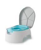 Summer 2-in-1 Step Up Potty: Potty Seat & Stepstool for Easy Training | Space Saving & Easy to Clean - Buy Online on GoSupps.com