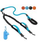 Slowton Double Linen Dog Leash for 2 Dogs - 360 Rotatable Reflective Shock-Damping with 2 Padded Handles - Ideal for Small & Medium Dogs (3-16kg) - Blue - Buy Online on GoSupps.com