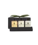 Shop Noble Isle Travel Trio Gift Sets Perfect International Gifts for Any Occasion - Buy Online on GoSupps.com