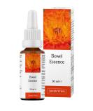 Jan De Vries Bowel Essence 30ml - Aspen, Chamomile & Agrimony | Relieves Knotted Nervousness | Flower Essence for Digestive Health - Buy Online on GoSupps.com