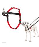 Company of Animals HALTI Front Control Harness Size Medium Professional Dog Harness to Stop Pulling on the Lead Easy to Use Anti-Pull Training Aid Front Leading No Pull Harness for Medium Dogs - Buy Online on GoSupps.com