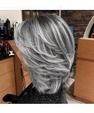 Jolelyne Silver Gray Ombre Layered Wig with Curtain Bangs - Synthetic Short Bob Wig for Black Women - Grey 02 - Buy Online on GoSupps.com