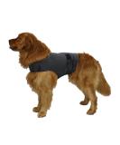 Kittystar Breathable Thunder Shirt for Dogs - Gray L | Calming Coat & Fear Relief Jacket for Puppies - Buy Online on GoSupps.com