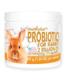 Equa Holistics HealthyGut Probiotics for Rabbits Dietary Supplement, All-Natural Digestive System Formula 120 Servings - Buy Online on GoSupps.com