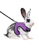 Niteangel Adjustable Soft Harness for Rabbits - Elastic Leash Included - Medium Purple - International Shipping Available - Buy Online on GoSupps.com