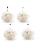 Buy Eco-Friendly Women's Spa Natural Loofah Set of 4 | Biodegradable Organic Exfoliator for Bath & Shower | Perfect for Travel - Buy Online on GoSupps.com