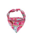 Shop Unique Style Paws Washable Cotton Dog Bandana - Watermelon for Small & Large Dogs & Cats | 1 Pack - Buy Online on GoSupps.com