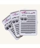 Park Sung Hee Miracle Lash DIY False Eyelashes - Lengthening 9mm-16mm Lash Clusters Contact Lens Friendly Easy to Apply Reusable Strip Lashes (E5-280 13mm - Buy Online on GoSupps.com