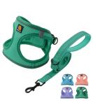 Buy Bella & Pal Dog Harness for Small Dogs - Reflective Breathable Air Mesh with Leash | Step-In Dishes - Cat & Puppy Dishes - Emerald (35-40cm) - Buy Online on GoSupps.com