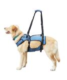COODEO Dog lifting harnesses support and recreation loops pet rehabilitation lifting nerves adjustable breathable straps for old disabled people joint injuries (m) m blue - Buy Online on GoSupps.com