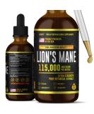 Lions Mane - Lions Mane Mushroom Supplement- Lions Mane Tincture - Natural Immune Support - Lions Mane Tincture for Memory, Focus & Clarity - Daily Mushroom Supplement - Vegan, Organic - 4 Fl oz 4 Fl Oz (Pack of 1) - Buy Online on GoSupps.com