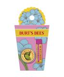 Burt's Bees Spring Surprise Set: Dragonfruit Lemon Lip Balm & Lemon Butter Cuticle Cream - Easter Basket Stuffers for Her - Buy Online on GoSupps.com