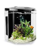 YCTECH 1.2 Gallon Aquarium Starter Kit with LED Light and Filter Pump - Ideal for Betta Fish and Goldfish - White & Black - Buy Online on GoSupps.com
