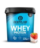 Bodylab24 Whey Protein Powder - Pannacotta Flavor 1kg | High-Quality Protein for Fitness & Muscle Gain - Buy Online on GoSupps.com
