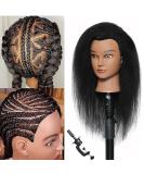 Real Hair Mannequin Head for Hairdresser Training with Free Clamp - 14 inch-D3 - Buy Online on GoSupps.com