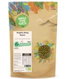 Wholefood Earth Organic Mung Beans 3kg GMO Free | Vegan | High Fibre | High Protein | Certified Organic - Buy Online on GoSupps.com