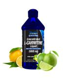 L-Carnitine 5000 Mg Liquid Dietary Supplement - 16 Oz - Orange Pineapple Flavor - Strongest on Amazon - Premium L Carnitine Formula - Buy Online on GoSupps.com