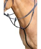 Shires Aviemore Running Martingale Choose Colour & Size Small Pony Havana - Buy Online on GoSupps.com