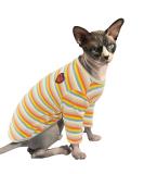 Pumyporeency Sphynx Cat Sweater - Warm Cotton Vest for Hairless Cats & Kittens (XXL Yellow Stripes) - Buy Online on GoSupps.com