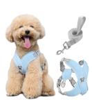 Pawaboo Dog Harness & Leash Set - Adjustable X-Frame Anti-Choke Vest for Small & Medium Dogs - Breathable Dog Apparel (M Blue) - Buy Online on GoSupps.com
