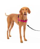 Buy PetSafe Easy Walk Harness - Anti-Pull Dog Harness (Size M Pink) with 1.8M Leash | Reduces Choking & Coughing - Shop Internationally! - Buy Online on GoSupps.com