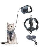 QKTYB Cat Dishes & Leash Set - Retractable Dog Leash & Cat Dishes for Kittens & Dogs (M Gray) - Perfect for Travel & Outdoor Adventures - Buy Online on GoSupps.com