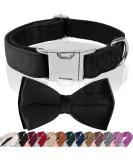 Shop Asvin Velvety Dog Collar - Soft Comfortable & Multi-Color Options for Weddings Birthdays & Parties - Removable Dog Flying | International Shipping - Buy Online on GoSupps.com