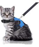 Bella & Balu Sustainable Cat Dishes with Leash | Soft Lining & Mesh | Perfect for Carefree Walking (S Blue) - Buy Online on GoSupps.com
