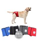 High-Quality Sailing Trousers for Dogs 2.0 | Premium Neoprene Diapers for Males (XS-L Red) - Optimal Air Exchange No Annoying Threading - Buy Online on GoSupps.com