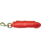 Buy Hamilton Poly Leash with Snap Hook - Durable Red Pet Leash for International Shipping - Buy Online on GoSupps.com