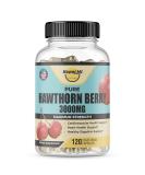 Happi Mi Nutrition Organic Hawthorn Berry 5:1 Extract 3000mg | 120 Veg Capsules | Immune & Circulatory Support, Antioxidant-Rich Formula | Non-GMO, Gluten-Free - Buy Online on GoSupps.com