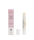 Erbaviva Organic Quease Ease Lip Balm - All Natural Relief for Mamas & Mamas-To-Be | Hydrating & Effective Against Morning Sickness - Buy Online on GoSupps.com