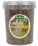 Supa Dried Mealworms for Wild Birds 1 Litre Bucket | High Energy Protein Rich Treat For Garden Birds | Attract More Birds To Your Garden | Quality Wild Bird Food Mealworm 1 l (Pack of 1) - Buy Online on GoSupps.com