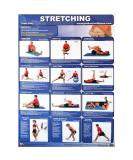 Lower Body Stretching Exercises Poster - Productive Fitness Series | Laminated for Durability - Buy Online on GoSupps.com