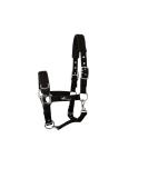 Buy JF-Reitsport Cavesson Pro 2021 | 4-Way Adjustable Soft & Shock-Absorbing for Minishetty | International Shipping Available - Buy Online on GoSupps.com