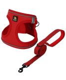 Shop Bella & Pal Dog Harness for Small Dogs | Soft Air Mesh Reflective & Breathable | Includes Leash | Perfect for Puppies & Cats - XXS (28-30cm) Red - Buy Online on GoSupps.com