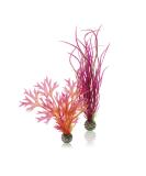 Buy Biorb 46058 Red/Pink Artificial Plants Set - Medium Nature Decipper for Aquariums | 2 Pieces - Buy Online on GoSupps.com