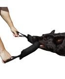 Dingo Gear Cotton Nylon Bite Sausage for Dog Training - IGP IPO Obedience Protection - 45x8cm with 2 Handles - Black S00076 - Buy Online on GoSupps.com